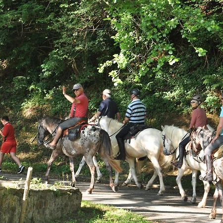 Les Chalets Du Moulin Du Chatain 4 Payzac  Bagian luar foto