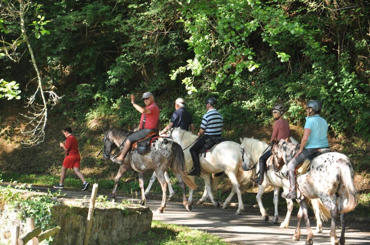 Les Chalets Du Moulin Du Chatain 4 Payzac  Bagian luar foto